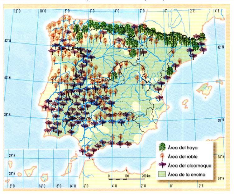 PRÁCTICA BIOGEOGRAFÍA 1 En el mapa se representa la extensión superficial de algunos árboles característicos de la vegetación española.