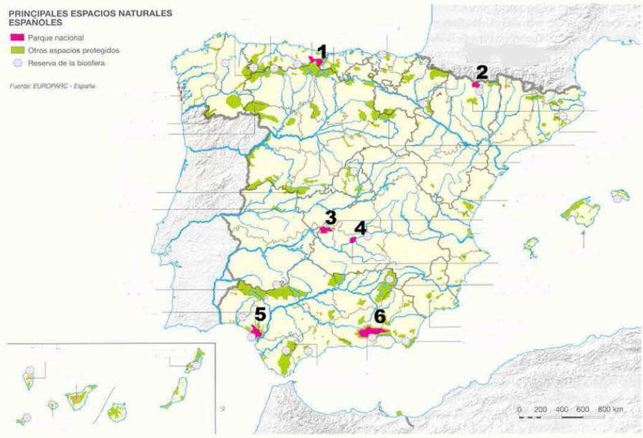 PRÁCTICA BIOGEOGRAFÍA 6 El mapa muestra el sistema de espacios protegidos en España: a) Identifique y dé nombre a los espacios protegidos con categoría de Parque Nacional, enumerados del 1 al 6.