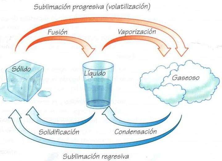 Los cambios de estado De sólido a líquido y viceversa El proceso mediante el cual un sólido pasa al estado líquido se llama fusión. El proceso inverso se denomina solidificación.