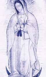 Virgen de Guadalupe, como la Sábana Santa de Turín, es una imagen hecha no de mano humana. Esto ha sido demostrado por los científicos J.