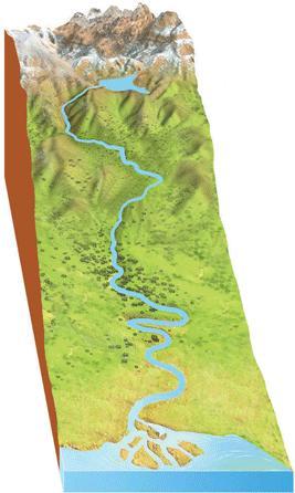 3. Recorrido de un río a través del paisaje. Paisaje interior de montaña (curso alto): Es donde nace el río. El agua de lluvia baja rápidamente, arrancando materiales. Se produce la erosión.