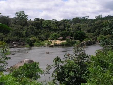 Proyecto REDD + Surui - Dinamica Deforestacion Talla ilegal