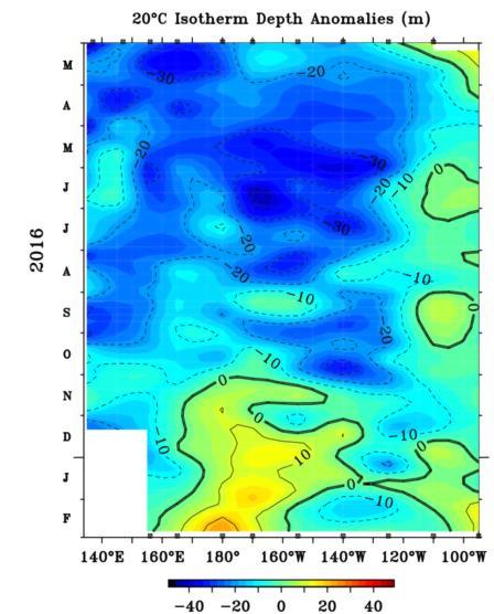 ANOMALÍAS DE LA TEMPERATURA SUPERFICIAL EN EL PACÍFICO ECUATORIAL La temperatura superficial el mar en la franja ecuatorial