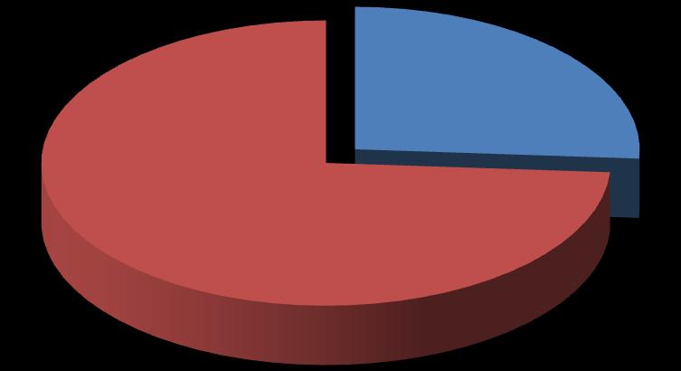 Gráfico 10. Distribución de Embarazadas con diagnóstico de Infección con el VIH. Paraguay.