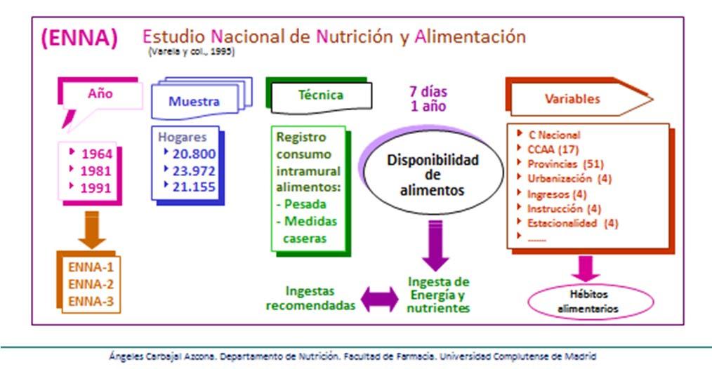 Consumo de alimentos El aspecto más positivo de la dieta media de los españoles es el gran número y variedad de alimentos que forman parte de nuestros hábitos alimentarios.