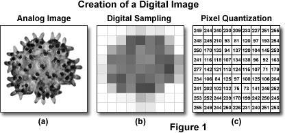 El proceso de digitalización: muestreo y cuantificación Ejemplo de digitalización de una imagen.