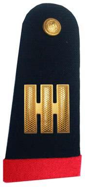 - Las sobre hombreras llevan las insignias de jerarquía bordadas en hilo metálico; para generales lleva un vivo de color dorado y para jefes y oficiales en