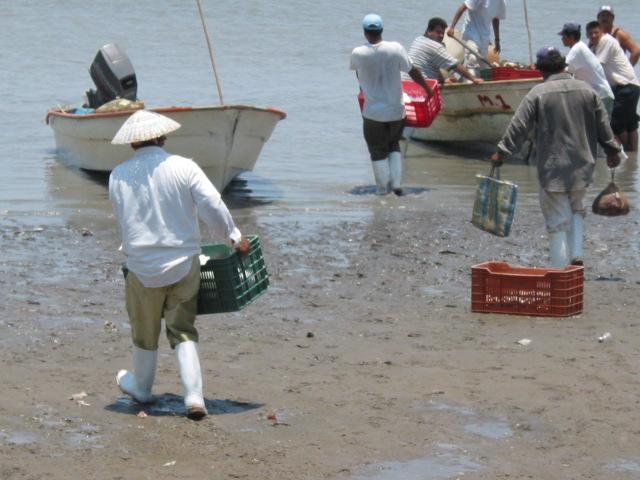 ACTIVIDADES: Ecoturismo Pesca Deportiva Maricultura Elaboración de harinas de