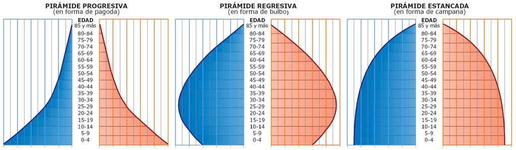 Pirámides de población Población joven: base ancha y vértice estrecho Población vieja: poca base.