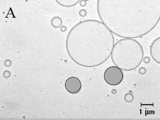 Tamaño de Glóbulos Tamaño o de Glóbulos Macro glóbulos Mayor de 1μ1 1μ a aprox 0.1μ 0.1μ m a 0.05μ 0.