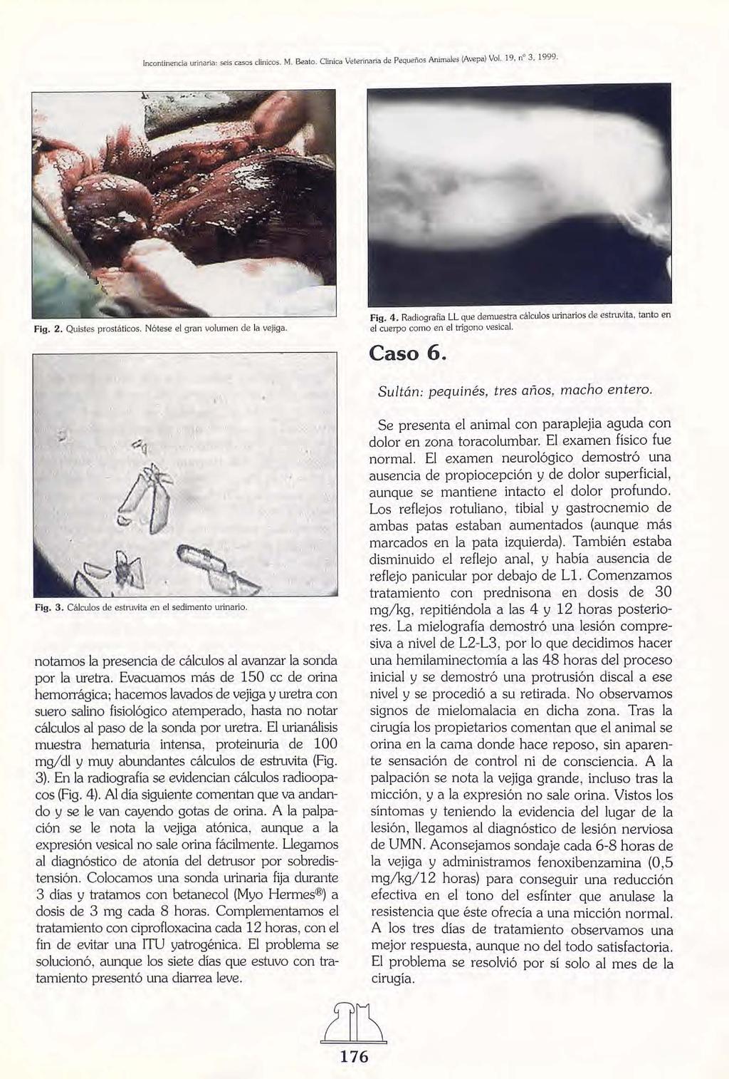 Incontinencia urinaria: seis casos clínicos. M. Beato. Clinica Veterinaria de Pequeños Animales (Avepa) VoL 19, n" 3,1999. Fig. 2. Quistes prostáticos. Nótese el gran volumen de la vejiga. Fig. 4.