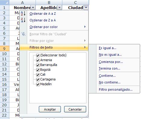 Al seleccionar alguna de las opciones que ofrece Excel, aparece un cuadro de texto para realizar la personalización del filtro.