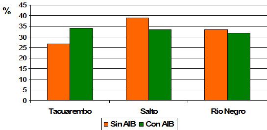 Gráfico 3 Cantidad (%) de estacas semileñosas (3 + 4) de Guayabo del País evaluadas según su origen, enraizadas con y sin AIB.