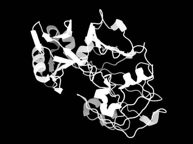 Estructura La pepsina esta constituida por una cadena polipeptídica sencilla que contiene 327 restos aminoácidos con un peso molecular de 34 644.