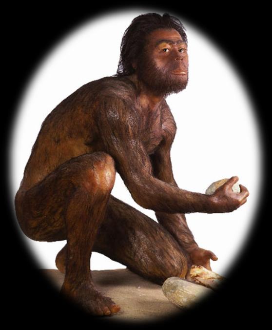 Homo Habilis Área de dispersión: Sudáfrica, Etiopía, Kenya. Antigüedad: 1.760.000 años.