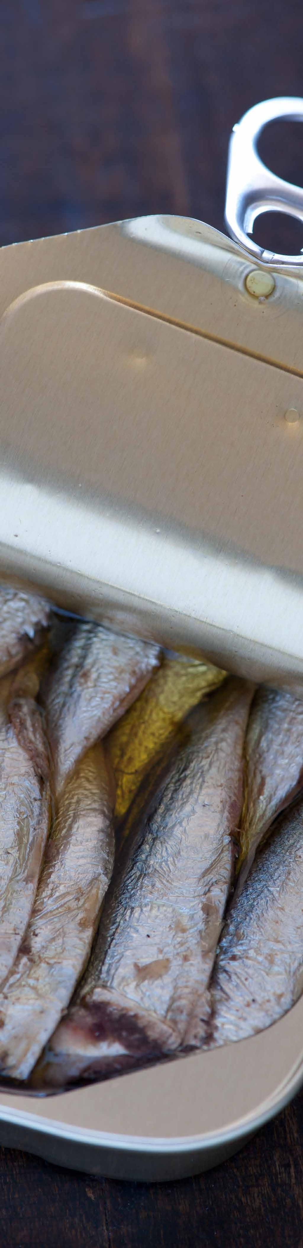 EVOLUCIÓN DE LAS EXPORTACIONES Exportaciones por producto Las exportaciones del Ecuador de sardina principalmente se las realiza en conserva, entre el 2011 y 2014 presentaron una tasa de crecimiento