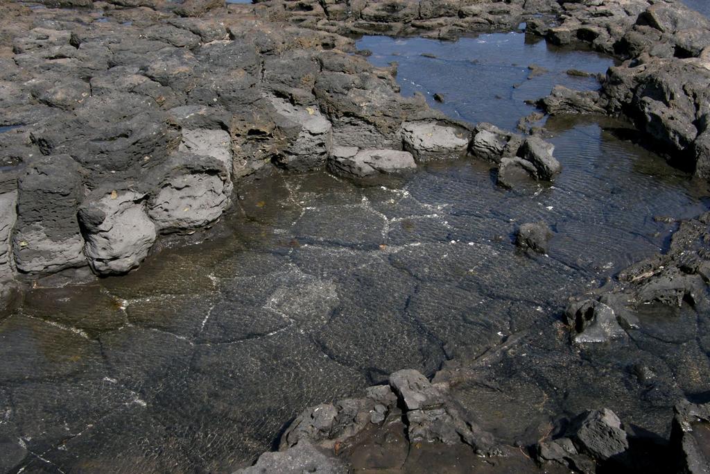 Suelo de basaltos poligonales y lavas vacuolares en la playa