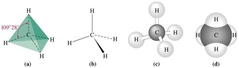 QUÍMICA ORGÁNICA Compuestos orgánicos y su estructura Los Hidrocarburos son los más simples