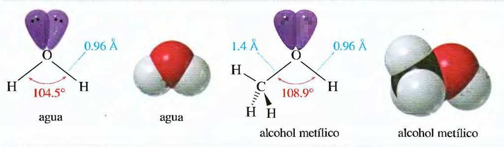 ebullición comparados con los éteres y el alcano con el mismo número de carbonos Alcoholes sencillos Los alcoholes inferiores son completamente solubles en agua