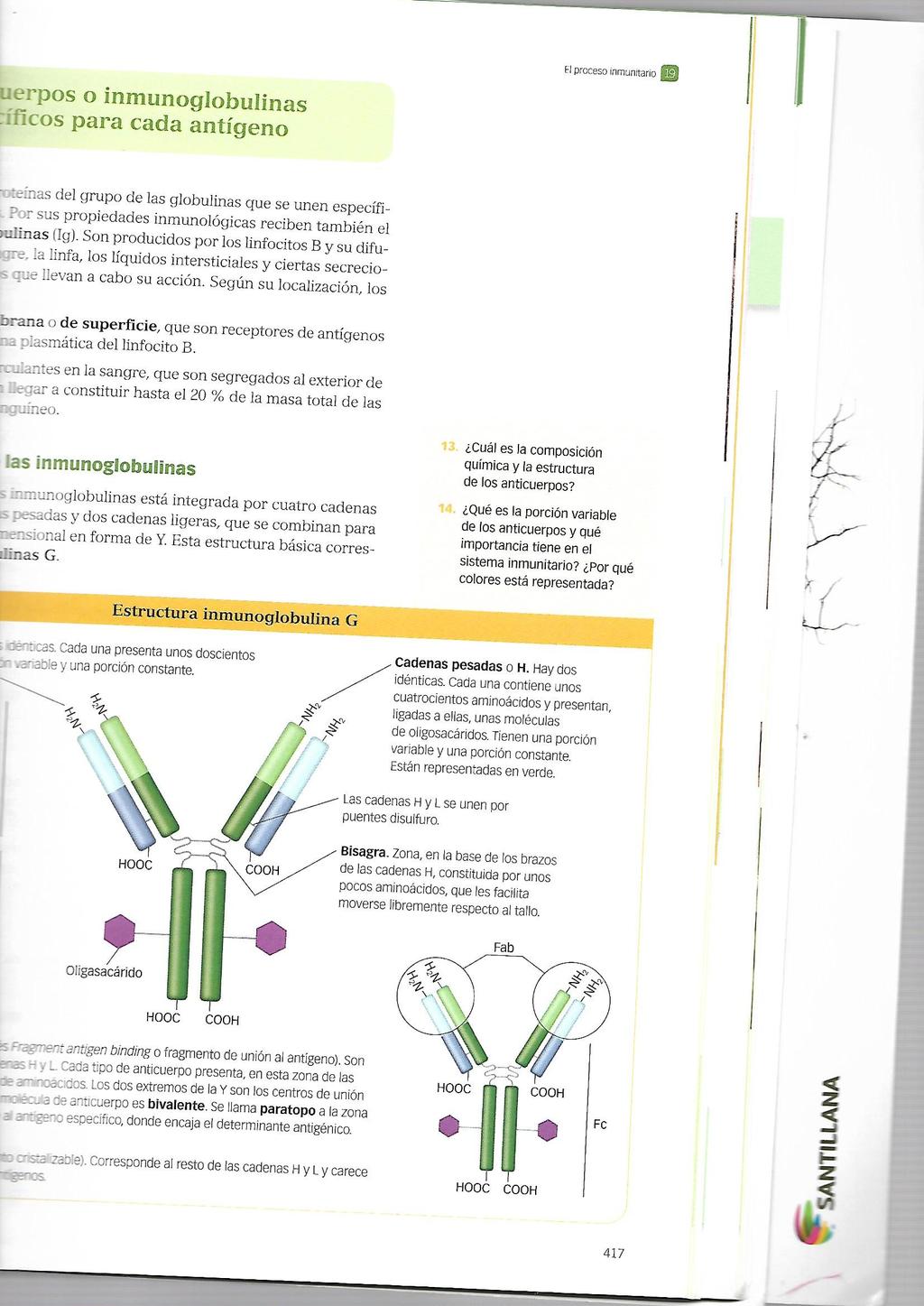Explica el concepto de ADN recombinante y señala en qué técnicas propias de la biotecnología se utiliza. 3.6.