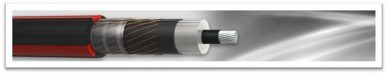 CABLES Cables de energía tipo XLP (15,