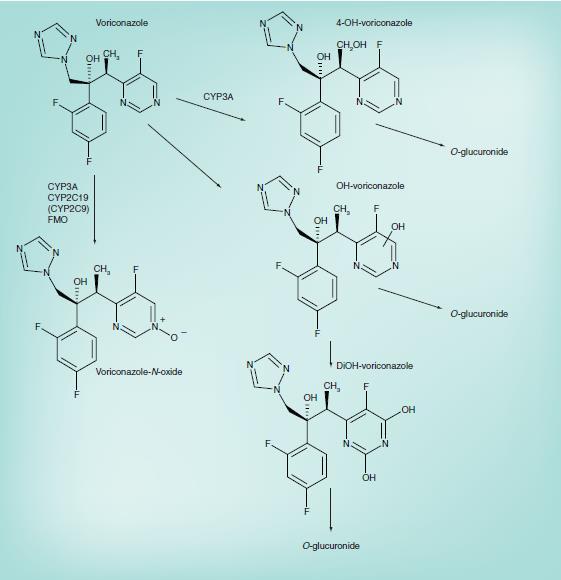 1. INTRODUCCIÓN Figura 1.2 Metabolismo de voriconazol (Mikus G et al., 2011).