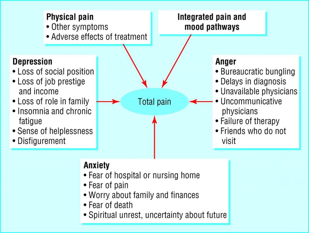 Factors affecting patient's perceptions of pain (adapted from Twycross RG, Lack SA, Therapeutics in terminal