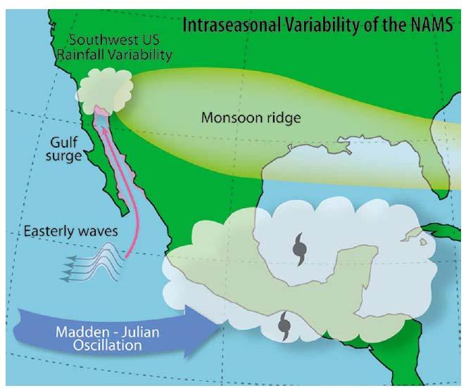 Variabilidad sinóptica del clima dentro del monzón Se incluye: Ondas del este Sistemas tropicales Corrientes de humedad en los niveles bajos Perturbaciones
