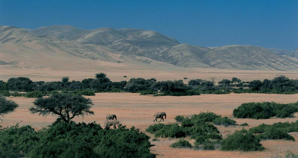Famosa por las densas brumas que se forman al chocar la fría corriente de Benguela proveniente del antártico con el clima seco y caluroso del Desierto del Namib.