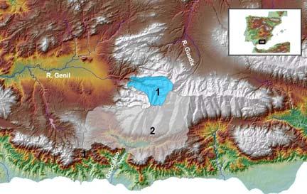 LA NIEVE EN LAS CORDILLERAS DE ESPAÑA Sierra Nevada En este caso la superficie total afectada de un modo notable por la innivación es mucho más reducida que en los casos anteriores.