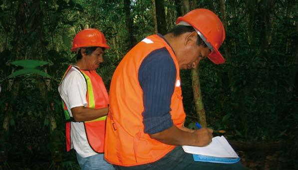 Presentación Este documento es el primero de cuatro manuales que conforman el paquete metodológico que el proyecto Aplicación de Tecnologías Intermedias para el Aprovechamiento Forestal Sostenible,