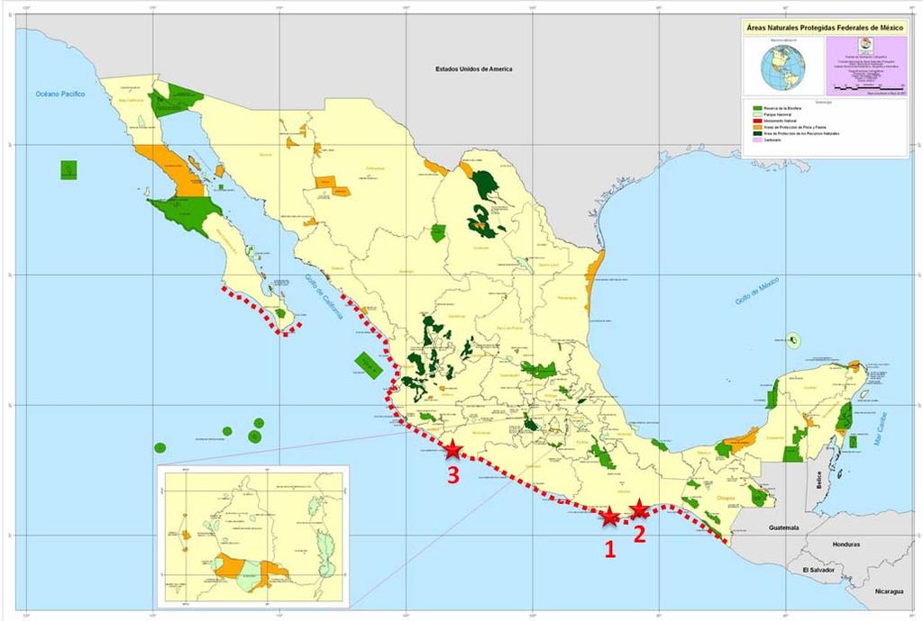 Mapa 1. Distribución de la anidación de tortuga golfina en México ASPECTOS ECOLÓGICOS Fuente: PNCTM 2009, CONANP, 2008.- http://www.conanp.gob.mx/sig/imgmapoteca/mapoteca.