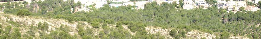 Fotografía 4. Vista de la ladera Oeste en l Alfàs del Pi desde los repetidores (430 m).