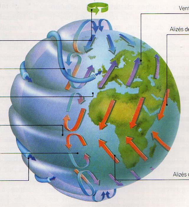 Circulación general de la atmósfera a rotación de la Tierra esvía los vientos hacia la erecha en el H.N. y hacia a izquierda en el H.S.