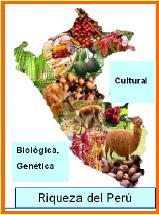 La diversidad biológica se ha desarrollado y ha cobrado importancia fundamental para el futuro del planeta: *Garantiza laseguridad alimentaría *Abastece a nivel mundial la