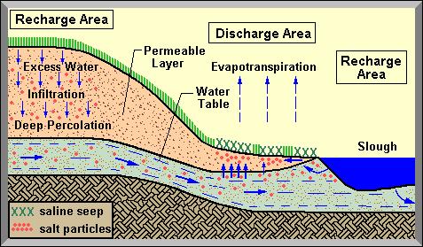 Salinización: Mecanismos Salinización de los suelos en regadío) Precipitación R >> ET Procesos de salinización (movilización y acumulación de sales): 1.