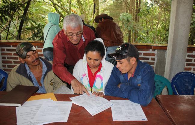 Cultivo de aguacate de la Región Trifinio la mayor área plantada en Honduras Ese dato se genera en al menos 175 hectáreas donde diferentes organizaciones y productores individuales, cultivan el fruto