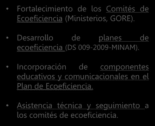 2.5. Ecoeficiencia en Instituciones públicas Fortalecimiento de los Comités de