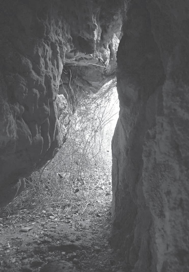 Vista de la entrada de la Cova