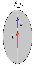 El término entre paréntesis se denomina momento de inercia I = X i m i R i 2 En general, el vector momento angular L no tiene la dirección del eje de rotación, es decir, el vector momento angular no