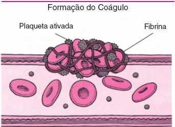 Con la exposición del colágeno, se produce la activación plaquetaria que forma un agregado de ellas en el sitio de la lesión, gracias a sustancias que son agregantes plaquetarios.