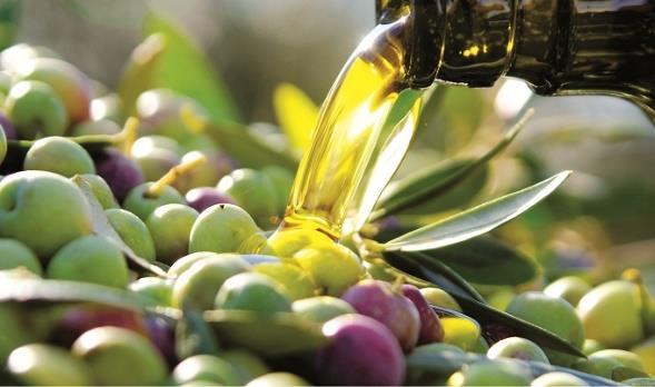 INDICE Algunos aspectos previos a tener en cuenta sobre la olivicultura