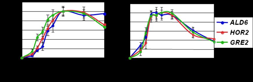 A B Figura 25. Comparación de la Actividad Máxima y de la Velocidad Máxima de diferentes promotores de genes osmoinducibles en presencia de NaCl.