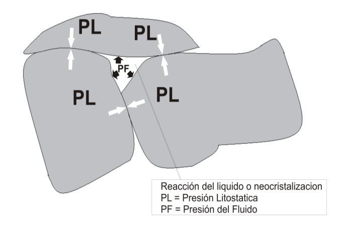 2.3.2 ACCIÓN DE LA PRESION DE LOS FLUIDOS DEL METAMORFISMO Existe una Interacción entre la presión de fluidos(pf) y la presión litostática(pl) en una roca.