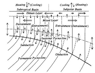 Figura 10.3 Esquema de procesos de subducción y obducción.