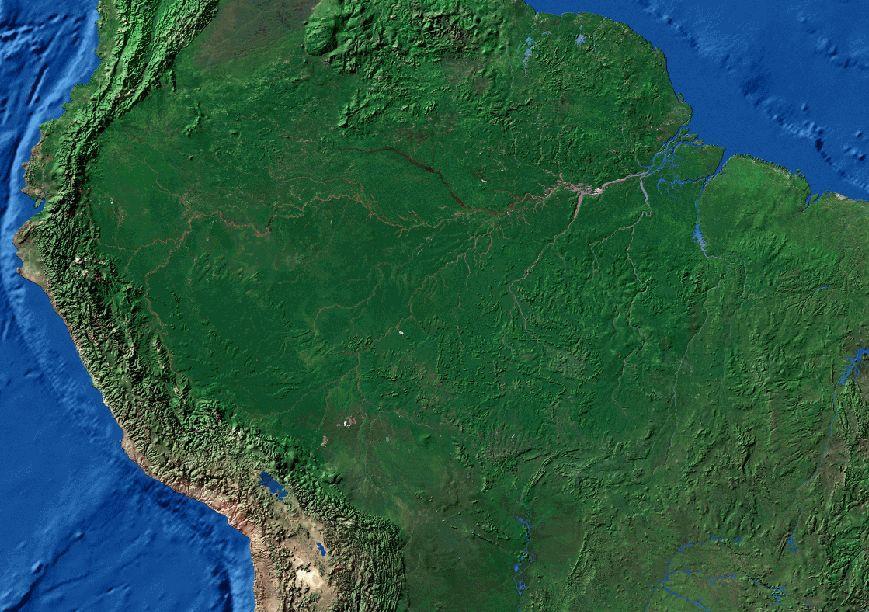 LA AMAZONÍA CONTINENTAL LA AMAZONIA PERUANA EL TERRITORIO
