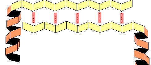 Los enlaces pueden ser: Enlaces de puente hidrógeno: Pueden ser rotos a través de cambios de ph y/o de T Fuerzas electrostáticas: Enlaces iónicos entre grupo carboxilo y grupo amino Puentes