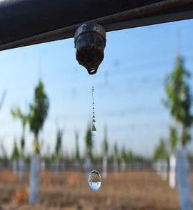 Los diferentes sistemas de riego aportan el agua al cultivo de forma específica y diferente a los
