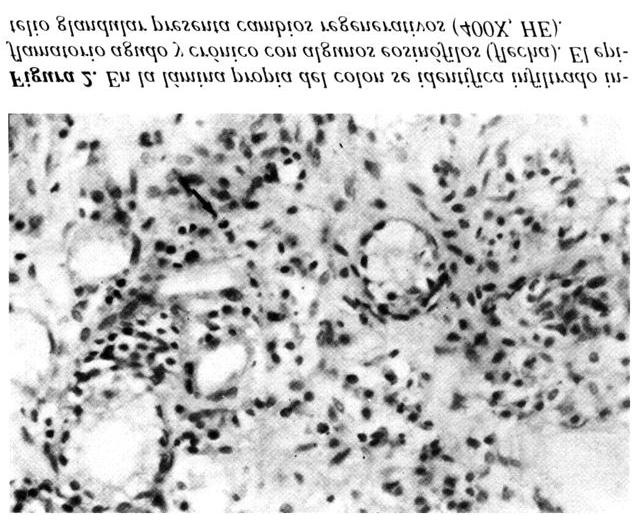 Página 6 de 11 Figura 3. Se identifican esporas de Microsporidium sp.