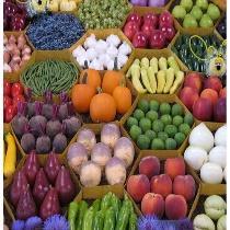 SUCOMITÉS ACTIVOS Comité del Codex sobre Aditivos Alimentarios -MIPRO Comité del Codex sobre Nutrición y Alimentos para Regímenes Especiales -